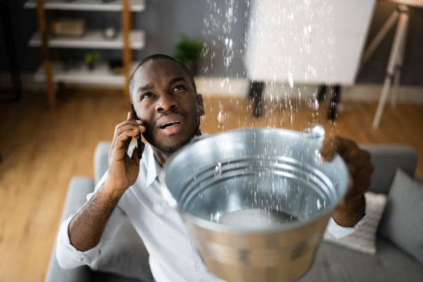 Best Water damage restoration services  in Conway, SC