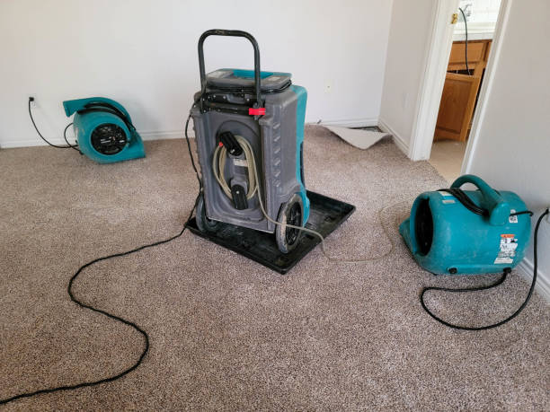 Best Mold removal after water damage  in Conway, SC