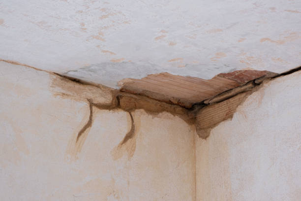  Conway, SC Water damage restoration Pros