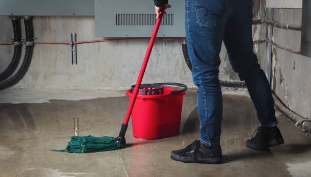 Best Professional water damage repair  in Conway, SC