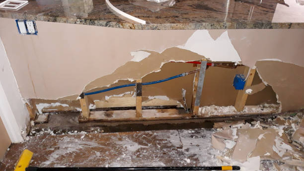 Best Local water damage restoration  in Conway, SC