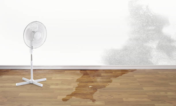 Best Ceiling water damage repair  in Conway, SC