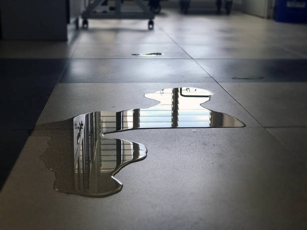 Best Commercial water damage restoration  in Conway, SC