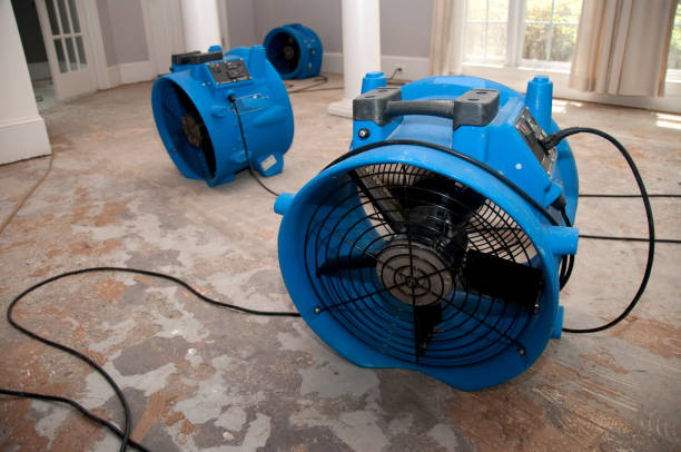 Best Carpet water damage restoration  in Conway, SC