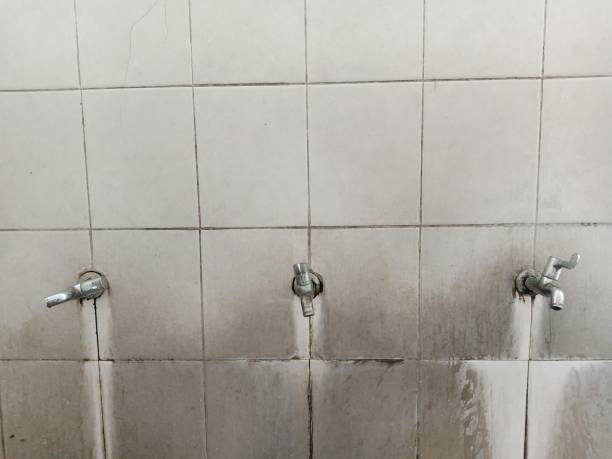 Best Residential water damage restoration  in Conway, SC