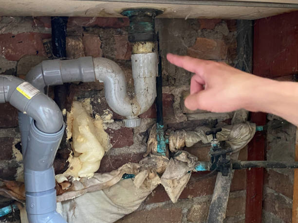 Best Flood damage cleanup  in Conway, SC