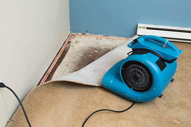 Carpet water damage restoration in SC